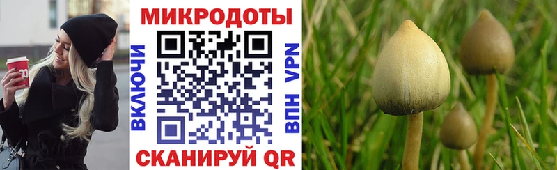 Псилоцибиновые грибы Cubensis  наркота  Дубовка 