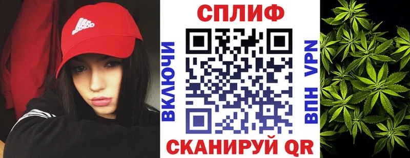 Каннабис OG Kush  Дубовка 